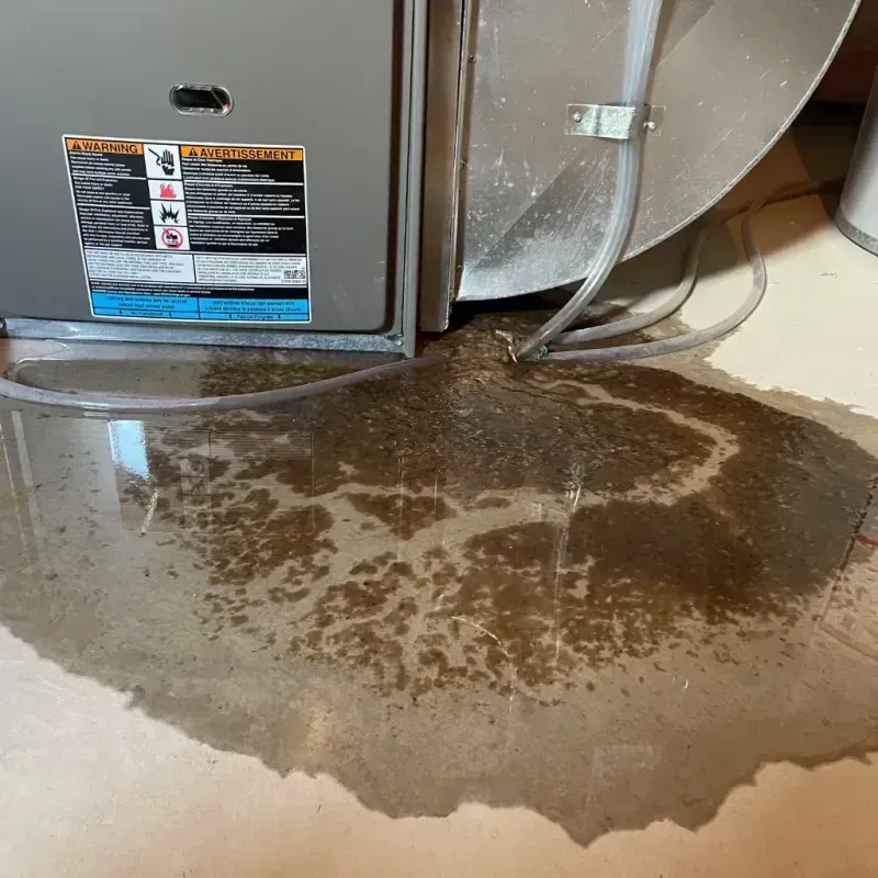 Appliance Leak Cleanup in Deerfield, NH